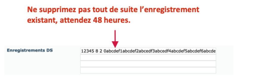 Printscreen enregistrements DS