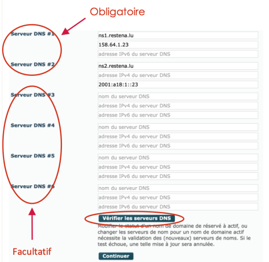Printscreen serveurs DNS